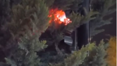 Azadlıq prospektində svetaforu kim 