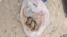 Lökbatanda quyuda gizlədilmiş heroin aşkarlanıb - FOTO 